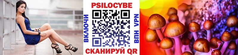 Галлюциногенные грибы Psilocybe  Снежинск 